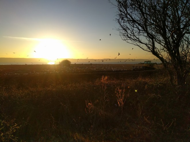 IMG_20170105_153333 (1).jpg