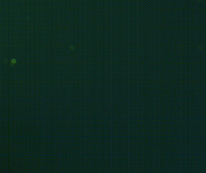 4_5969856253399138687